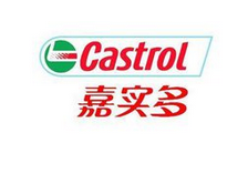 2016年6月，面对越来越复杂的交通坏境，RSM为公司嘉实多中国的对公司驾驶人员进行综合安全驾驶培训。